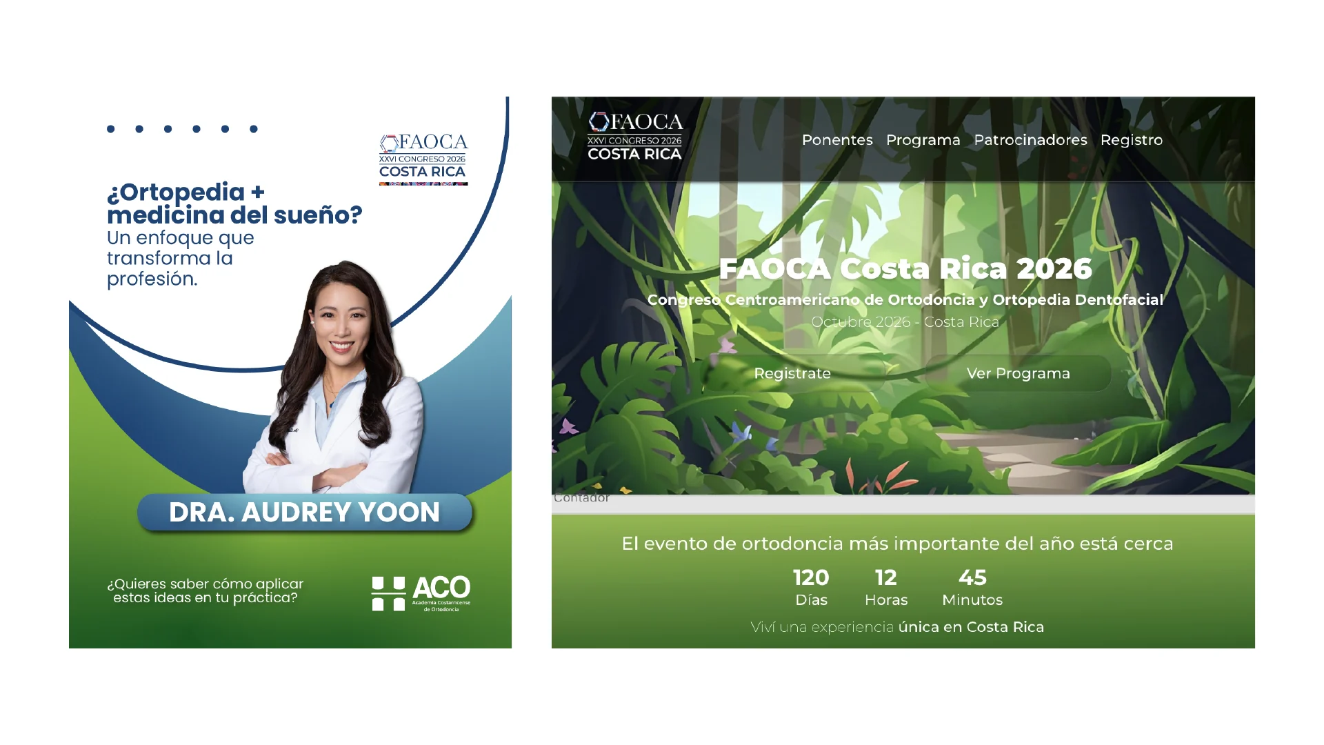 Libro de marca de FAOCA 2026: aplicaciones en redes sociales y sitio web